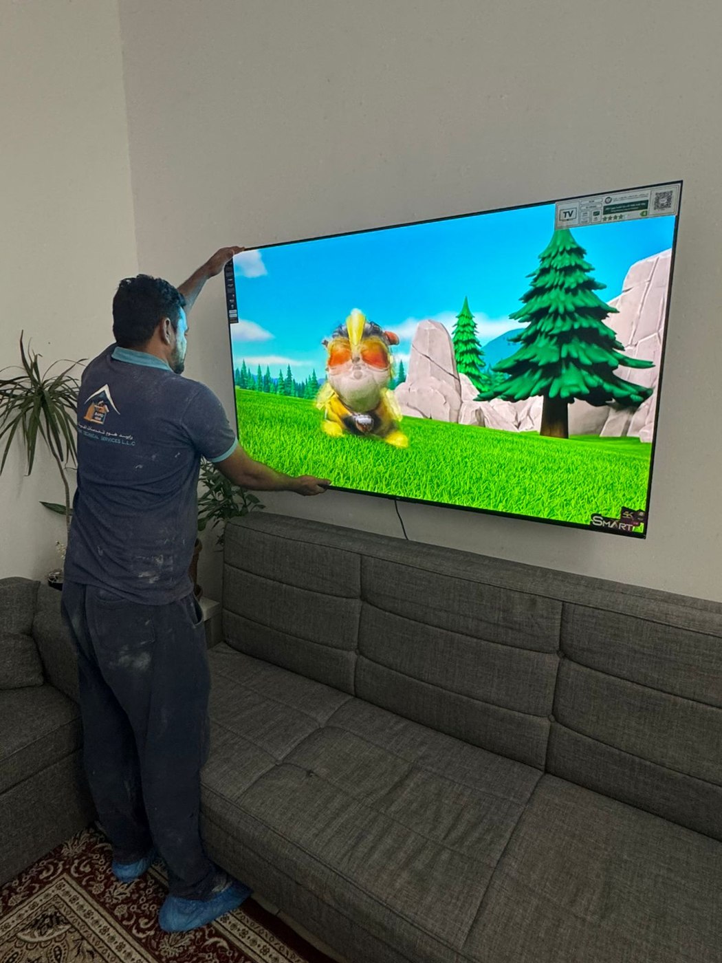 TV Wall Mounting